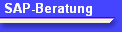 SAP-Beratung