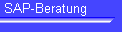 SAP-Beratung
